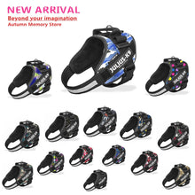 Cargar imagen en el visor de la galería, New Arrival Best-quality JULIUS K9 Dog Harness Vest Collar For Small Big Grow Training Pet Safety Cat Waterproof Nylon