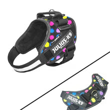 Cargar imagen en el visor de la galería, New Arrival Best-quality JULIUS K9 Dog Harness Vest Collar For Small Big Grow Training Pet Safety Cat Waterproof Nylon