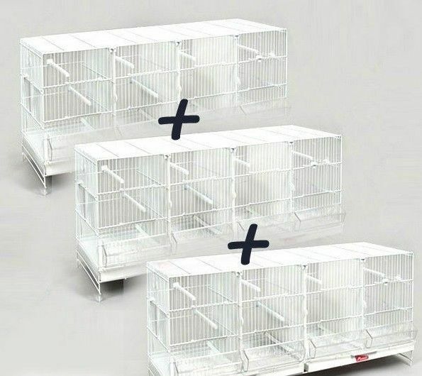 3 Jaulas de Cría para Pájaros Metro Pedros blancas