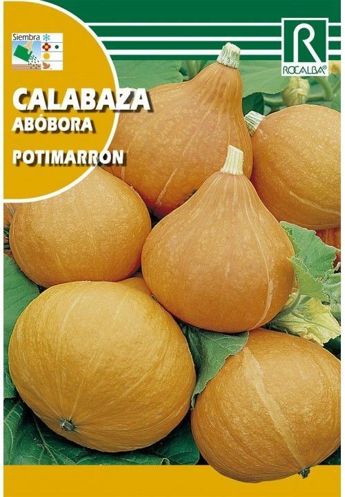 CALABAZA POTIMARRON