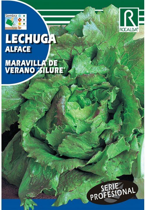 HORTALIZAS PROFESIONAL LECHUGA MARAVILLA DE VERANO 