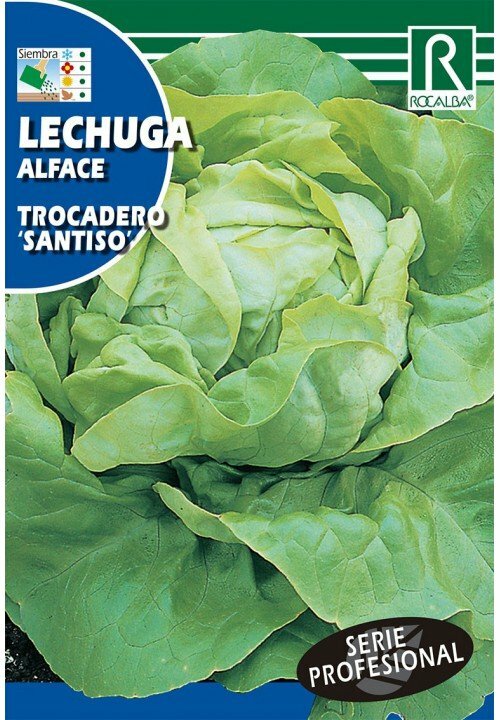 HORTALIZAS PROFESIONAL LECHUGA TROCADERO 