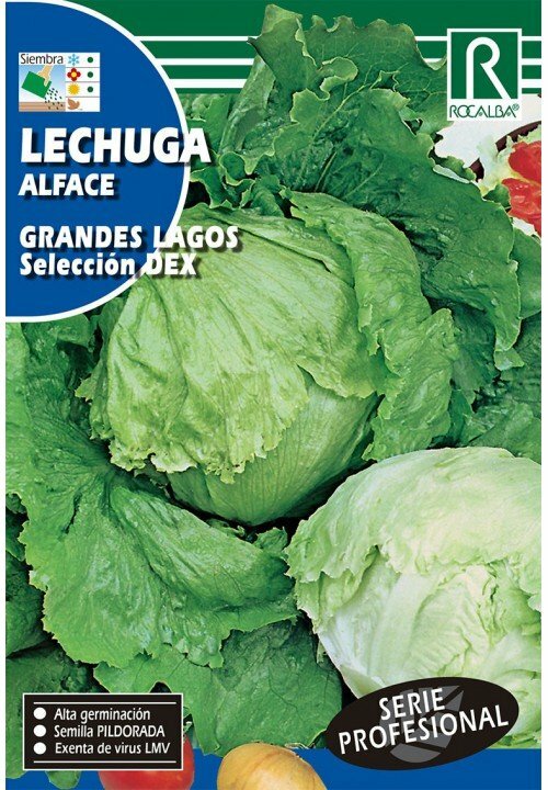 HORTALIZAS PROFESIONAL LECHUGA GRANDES LAGOS SELECCION DEX