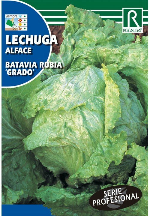 HORTALIZAS PROFESIONAL LECHUGA BATAVIA RUBIA 