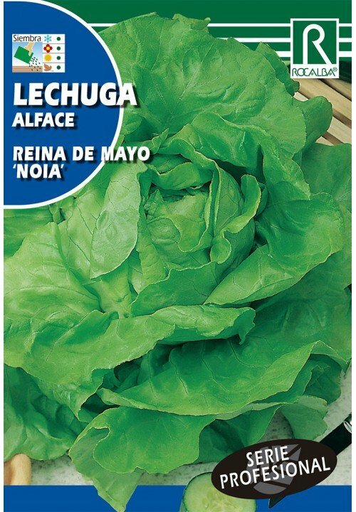 HORTALIZAS PROFESIONAL LECHUGA REINA DE MAYO 
