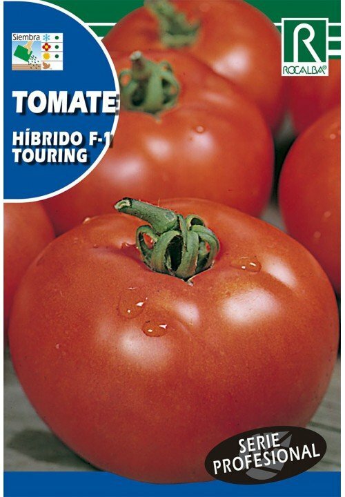 HORTALIZAS PROFESIONAL TOMATE HIBRIDO F-1 TOURING