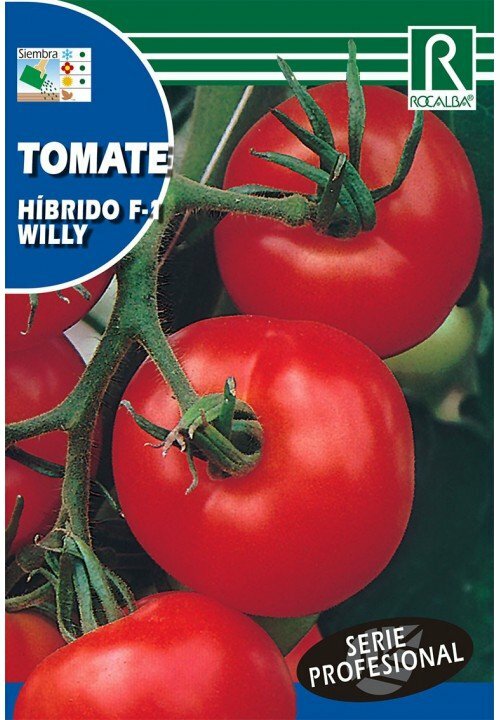 HORTALIZAS PROFESIONAL TOMATE HIBRIDO F-1 WILLY