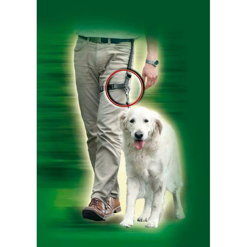 KARLIE LEGLEADER - 39 CM-60CM ANTI TIRONES PERROS EDUCADOR