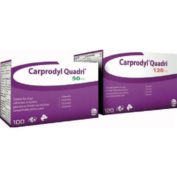 CARPRODYL QUADRI ALIMENTO COMPLEMENTARIO PARA PERROS
