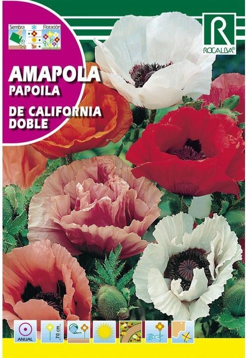 FLORES AMAPOLA DE CALIFORNIA DOBLE VARIADA