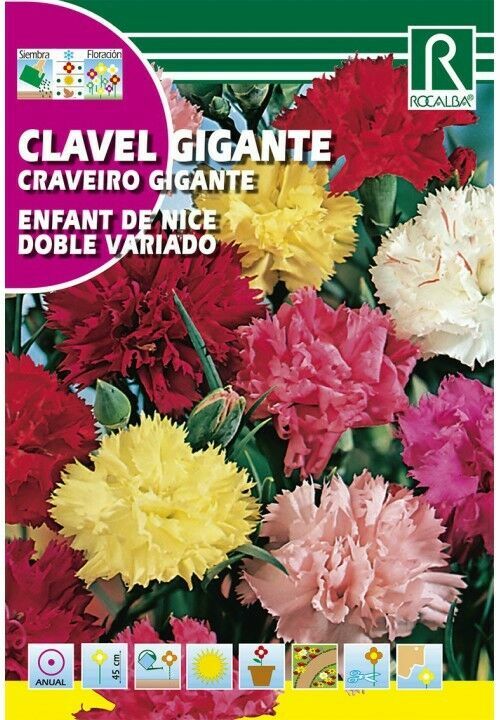FLORES CLAVEL GIGANTE ENFANT DE NICE DOBLE VARIADO