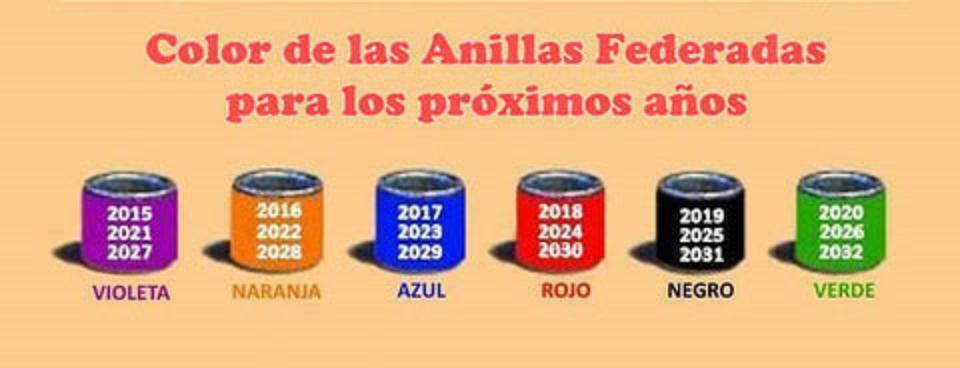 ANILLAS DE CARBONO DEL AÑO 2020 25 ANILLAS