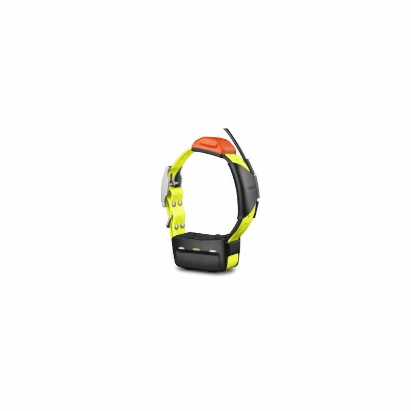 GARMIN COLLAR T5 LOCALIZADOR