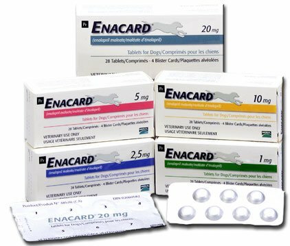 ENACARD ALIMENTO COMPLEMENTARIO PARA PERROS