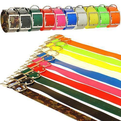 COLLAR POLIURETANO COLORES