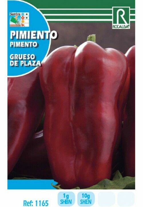HORTALIZAS PIMIENTO GRUESO DE PLAZA