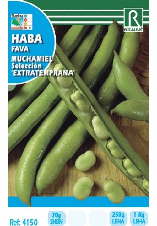 HORTALIZAS HABA MUCHAMIEL EXTRATEMPRANA