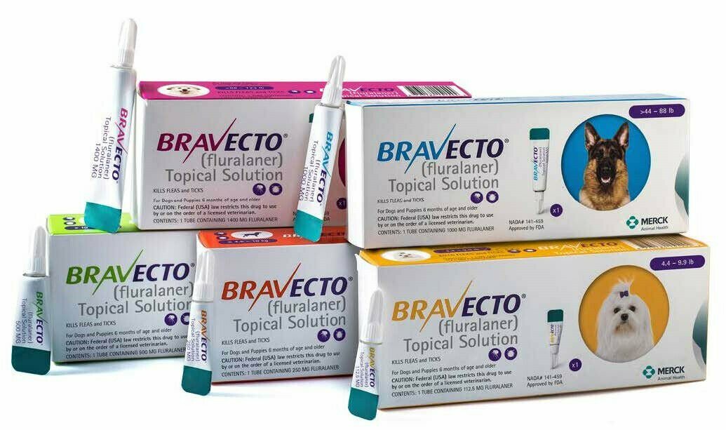 BRAVECTO PIPETA ANTIPARASITARIO DE GATOS PULGAS GARRAPATAS