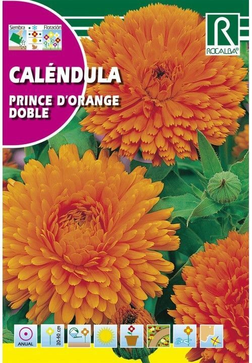 FLORES CALÉNDULA PRINCE D’ORANGE DOBLE