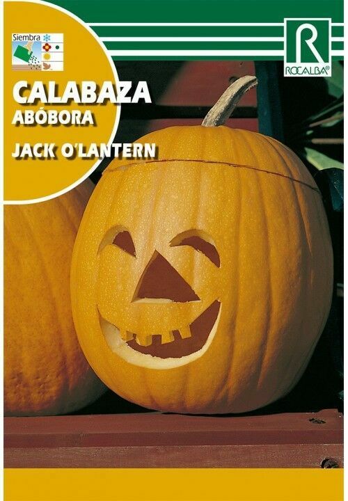 CALABAZA ROUGE VIF D'ETAMPES