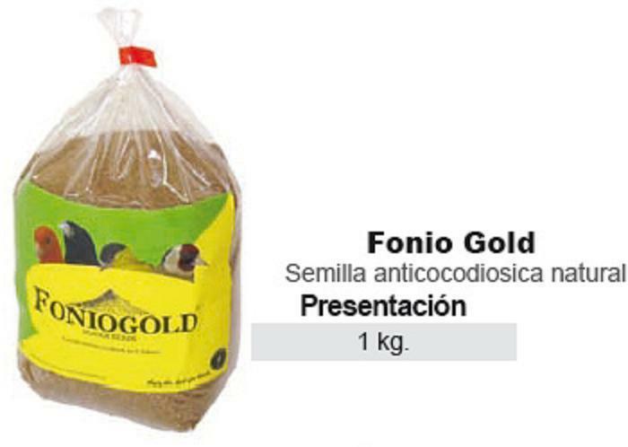 FONIO GOLD