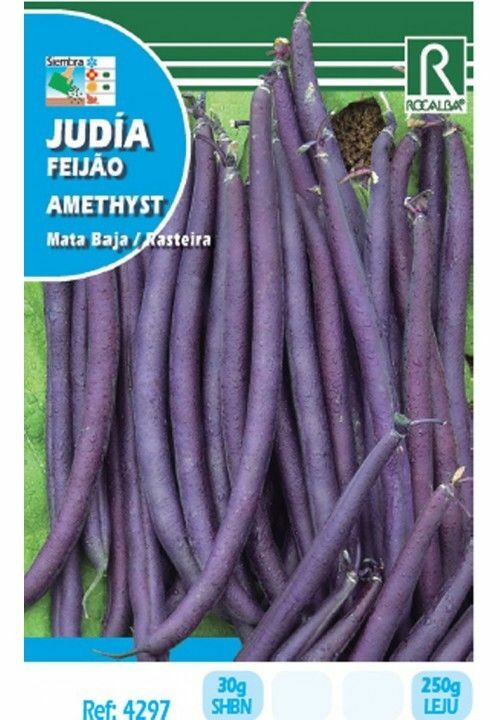 HORTALIZAS JUDIA AMETHYST