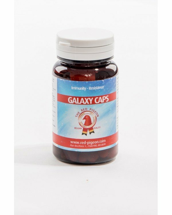 GALAXY CAPS PARA AVES