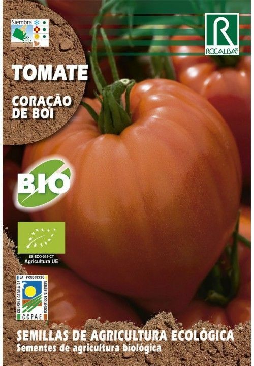 HORTALIZAS ECOLOGICAS TOMATE CORAÇAO DE BOI