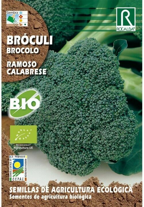 HORTALIZAS ECOLOGICAS BROCULI RAMOSO CALABRESE