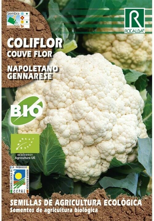 HORTALIZAS ECOLOGICAS COL MILAN VIRTUDES 2