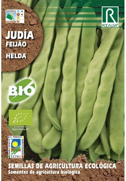 HORTALIZAS ECOLOGICAS JUDIA HELDA