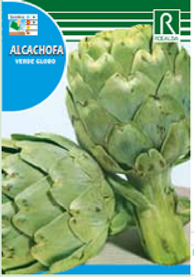 HORTALIZAS ALCACHOFA VERT DE PROVENCE