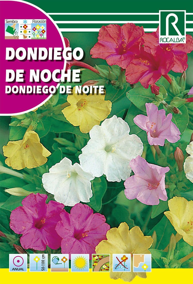 FLORES DONDIEGO DE NOCHE