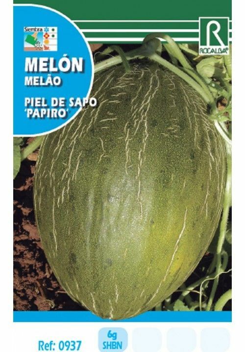 HORTALIZAS MELON PIEL DE SAPO 