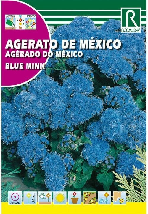 FLORES AGERATO