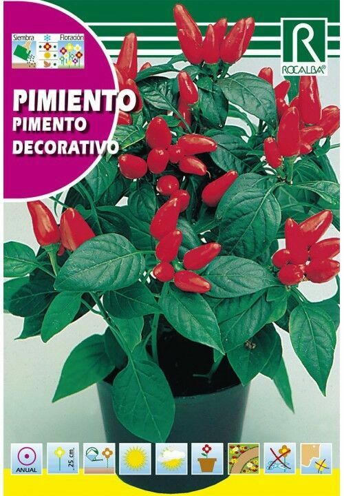 FLORES PIMIENTO