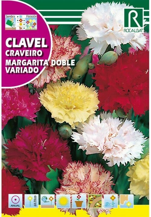 FLORES CLAVEL