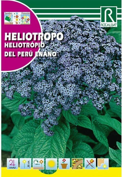 FLORES HELIOTROPO