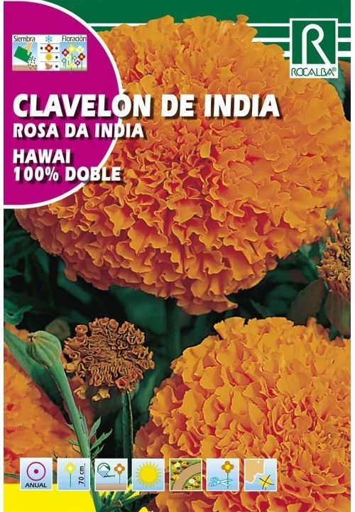 FLORES CLAVELÓN DE INDIA ‘HAWAII’ 100% DOBLE