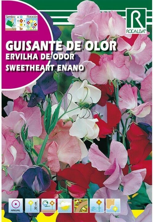 FLORES GUISANTE DE OLOR