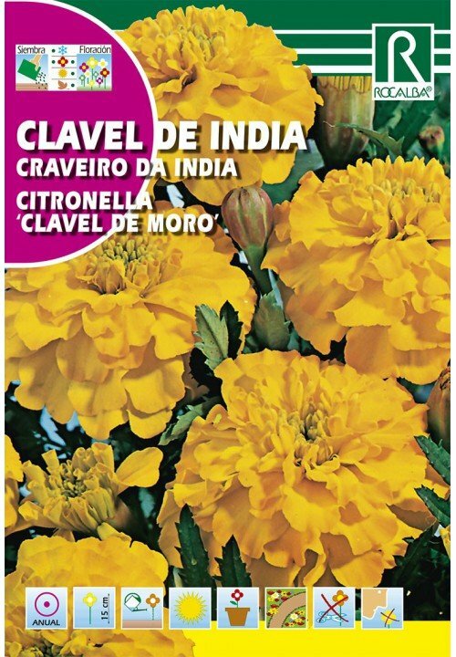 FLORES CLAVEL DE INDIA AMARILLO