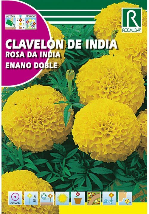 FLORES CLAVELON DE INDIA