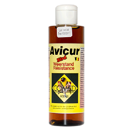 CUROL AVICUR BIRD