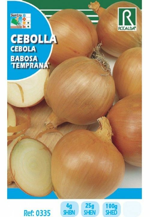 CEBOLLA VALENCIANA TARDIA DE EXPORTACION