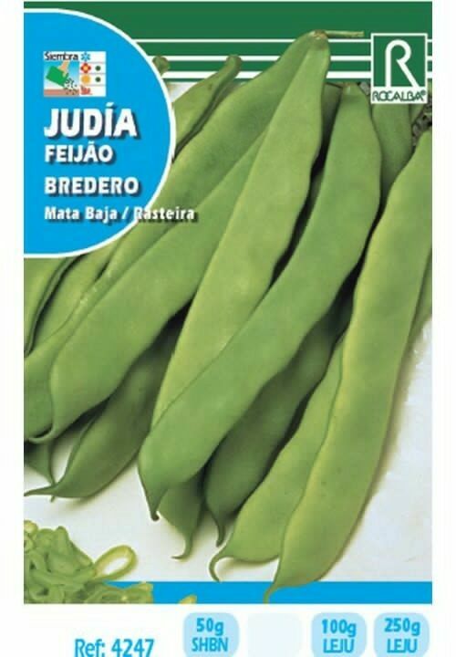 JUDIA BREDERO