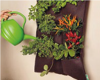 Huerto Colgante 6 Espacios