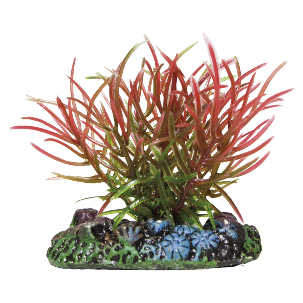 Blyxa de AQUATIC PLANTS (PLÁSTICO)