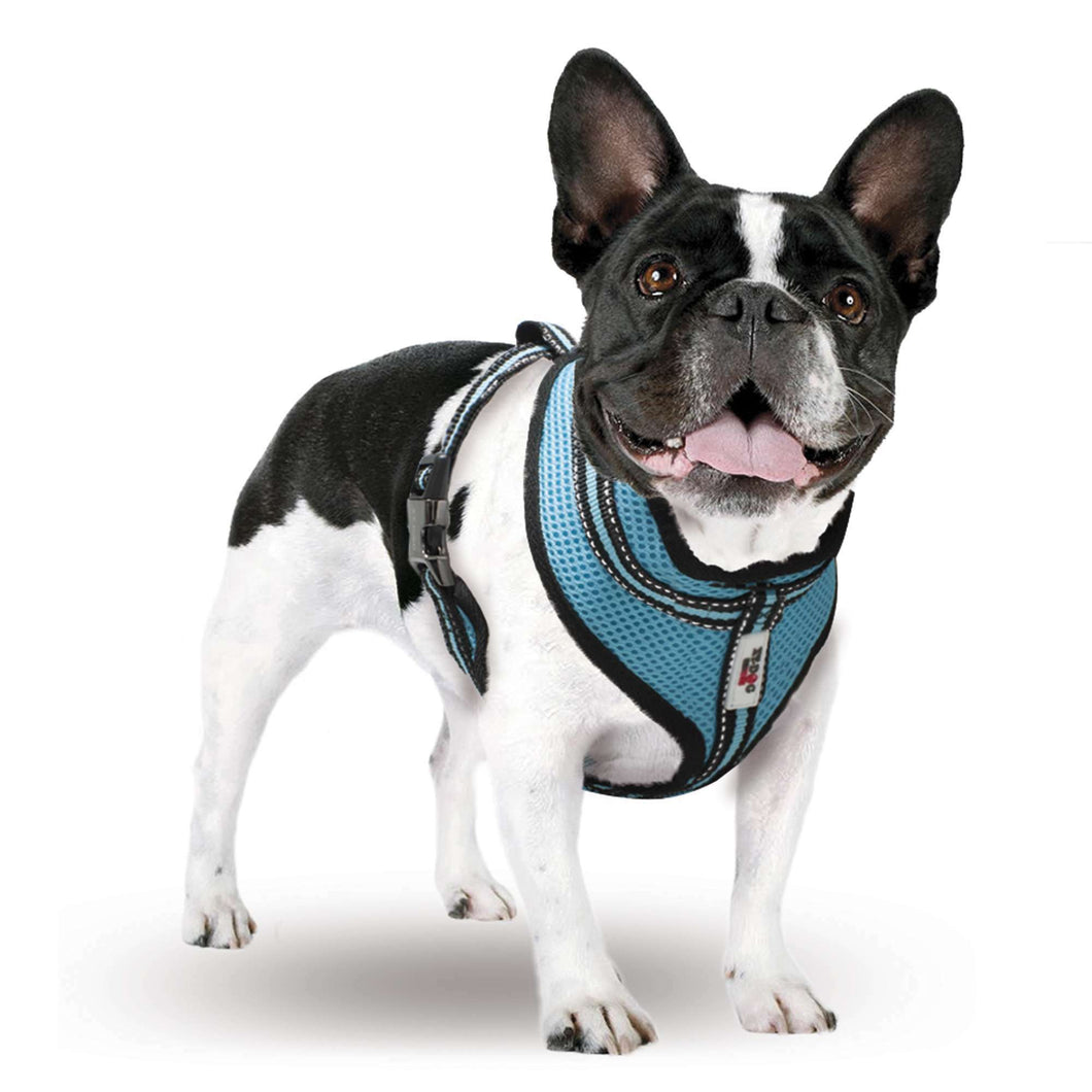 Arnés Summer XT-DOG