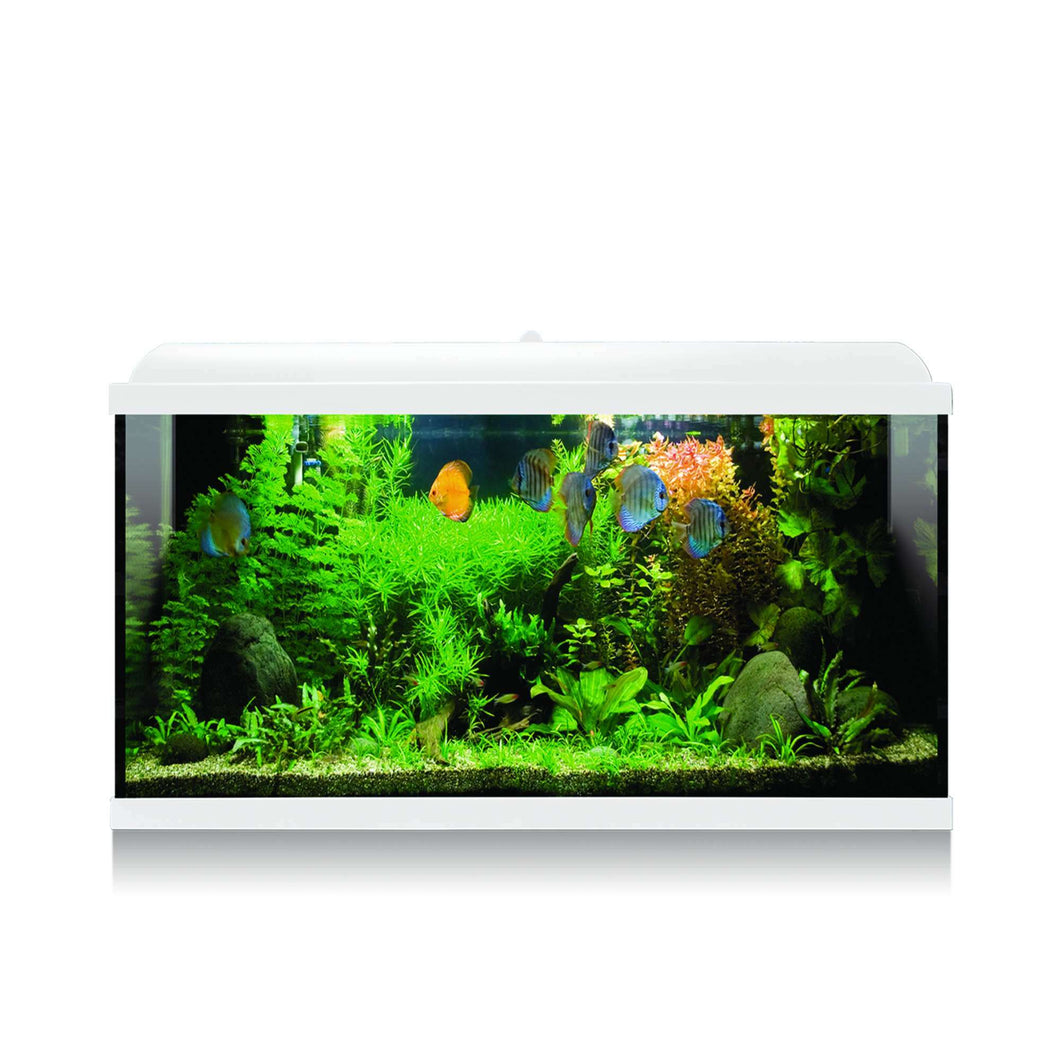 Kit AQUA-LED PRO 100 con filtro interior