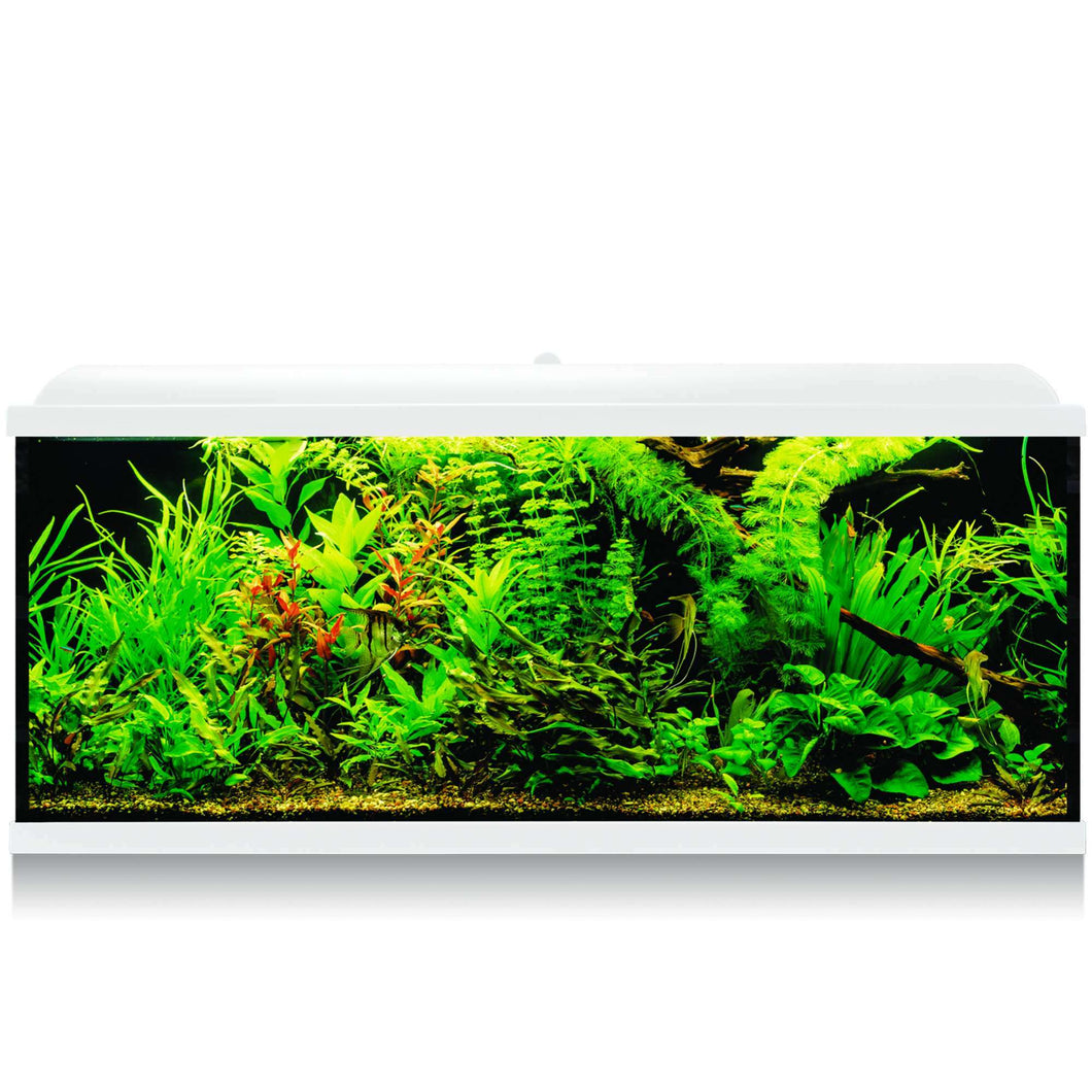 Kit AQUA-LED PRO 240 con filtro exterior